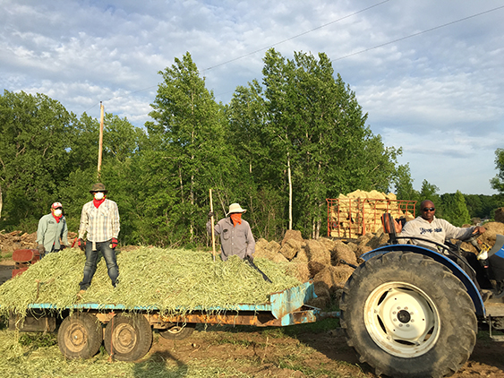 men on hay truck
