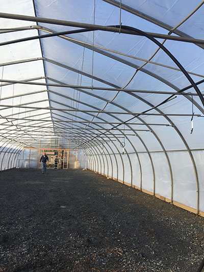 New greenhouse is up
