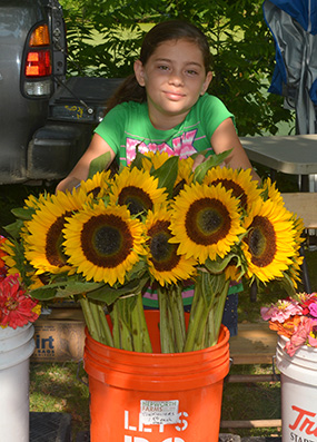 sunflowers at farm market