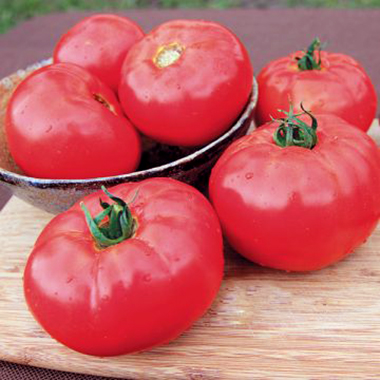 caiman tomato
